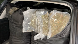 Mulheres vão presas com 53 kg de maconha na BR 277 em Cascavel