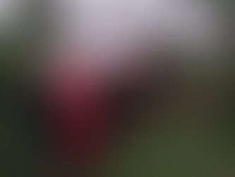 Motorista sofre ferimentos em tombamento de caminhão na PR-566