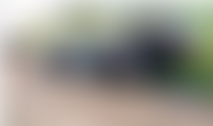 Ladrões roubam carro de aplicativo, capotam e são presos pela PM