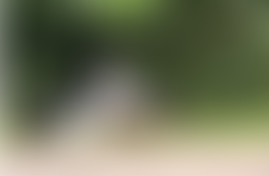 Mulher morre em grave acidente entre carro e caminhão na PR-471