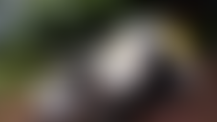 Viatura parte ao meio em acidente e dois policiais militares morrem no Paraná