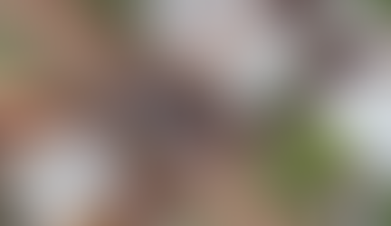 Polícia Civil deflagra operação para desarticular grupos criminosos no Sudoeste