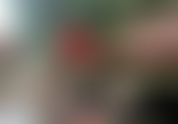 Motorista morre em colisão na região do trevo do Horizonte