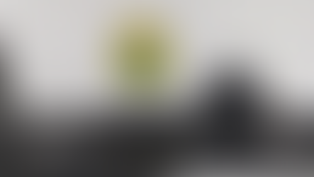 Mulher é presa com cinco pistolas em ônibus de linha interestadual