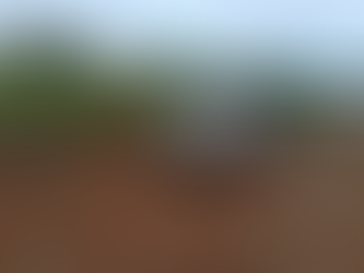 Carro furtado foi localizado após ser abandonado