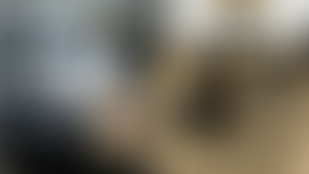 Operação contra grupo envolvido com roubos e tráfico de armas e drogas movimenta Oeste e Sudoeste