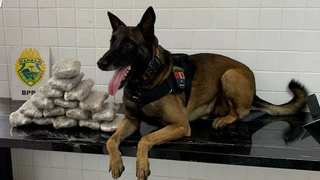 Jovem é preso com 4kg de maconha em mochila na rodoviária de Cascavel