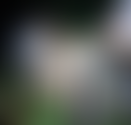 Caminhão bate em barranco após sair da pista na rodovia PRC-280