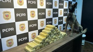 Motorista vai preso com 41,2 kg de crack em Ponta Grossa