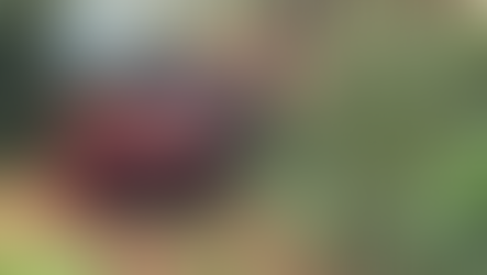 Carreta capota e motorista morre preso às ferragens na PR 239