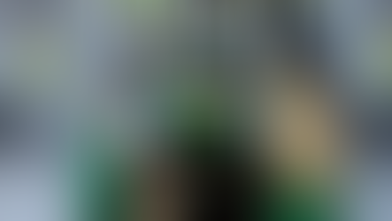 Dois carros e 187kg de maconha são apreendidos em Manoel Ribas