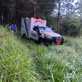 Morador de Francisco Beltrão morre durante corte de pinos em Flor da Serra do Sul