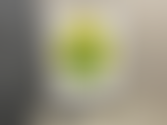 Mulher é presa com revólver e diz que usava arma para se proteger do ex-marido