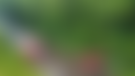 Três pessoas ficam feridas em capotamento de veículo na PR-493