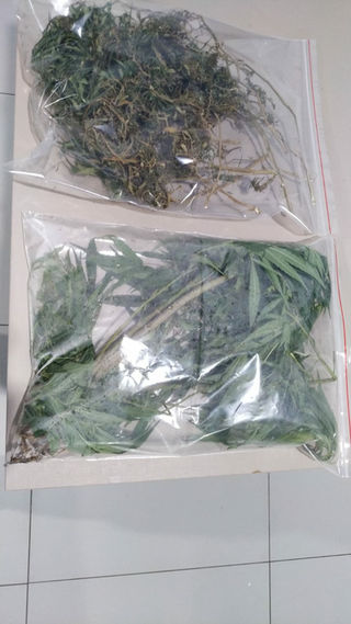 Homem é preso por maus tratos a animais e posse de drogas em Capanema