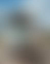 Caminhoneiro palmense morre vítima de acidente na PRC-280