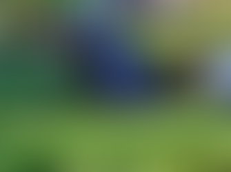 Carro cai em córrego após colisão em Francisco Beltrão