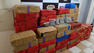 Forças de segurança apreendem mais de 5 toneladas de drogas em pouco mais de 24 horas no Paraná