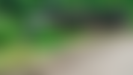 Caminhão carregado com milho tomba em curva na BR-163 em Santa Lúcia