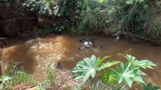 Vítima de acidente morre no Hospital Regional em Francisco Beltrão