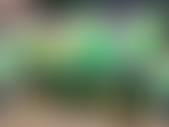 Sicredi Fronteiras impulsiona negócios e fortalece relacionamento com associados durante a Expoamp 2026