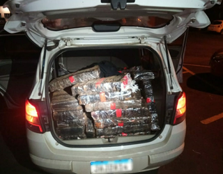 Polícia apreende 306 kg de maconha e prende dois homens em Francisco Beltrão
