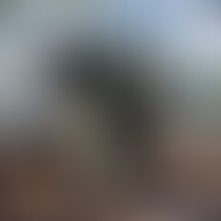 Polícia Militar apreende veículo com 140 kg de carne de frango da Argentina