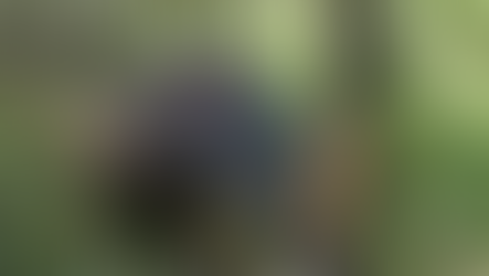 Casal fica ferido após camionete sair da pista na PR-483