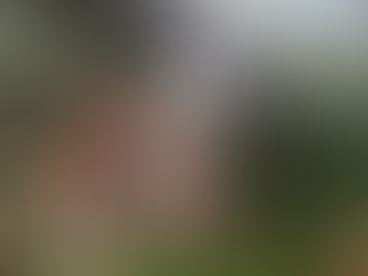 Três pessoas morrem após caminhão cair de ponte na BR-158