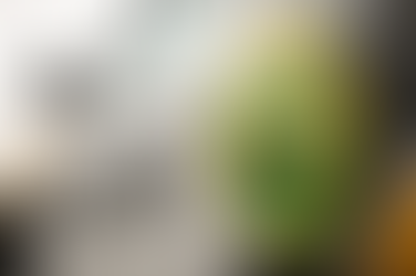 Dona de loja entra em luta com autoras e recupera peças de roupas furtadas por elas