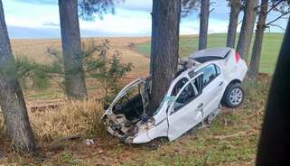 Homem morre em grave acidente na PR-493 em Pato Branco