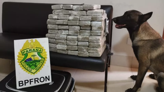 Mais de 30kg de maconha são apreendidos em ônibus em Perobal