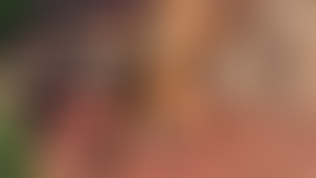 Idoso de 84 anos é detido acusado de estuprar cachorra