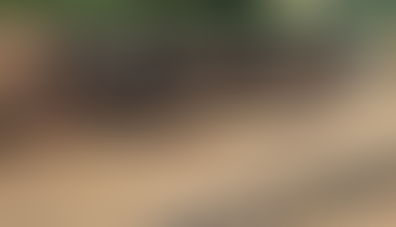 Caminhoneiro fica ferido em acidente na PR-281 em São Jorge D’Oeste