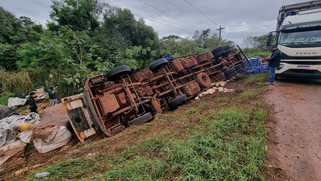 Caminhão carregado com 4 mil frangos vivos tomba na BR 163 em Marechal Rondon