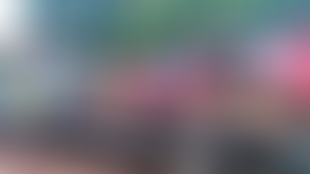 Cerca de mil pacotes de cigarros são apreendidos em Fiat Pálio