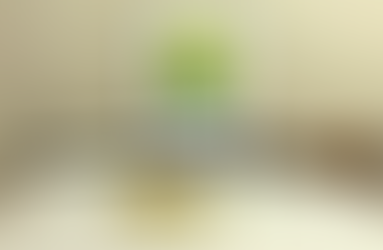 Arma de fogo é apreendida em São João