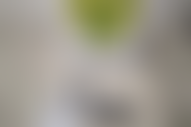 Adolescente atingida com disparo na cabeça morre no Hospital Regional