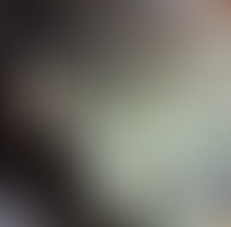 PRF descobre 3 toneladas de maconha, munições e fuzis em carreta