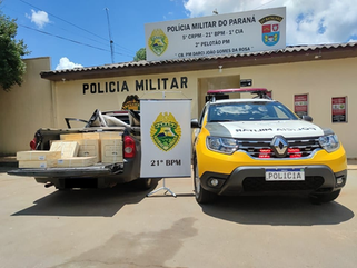 Polícia Militar apreende em janeiro mais de 200 quilos de maconha