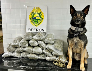 BPFRON apreende quase 5 kg de maconha com menor de idade