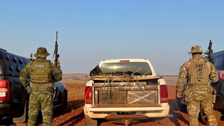 Carro furtado é apreendido com mais de 1 tonelada de maconha no Paraná