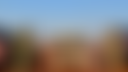 Carro furtado é apreendido com mais de 1 tonelada de maconha no Paraná