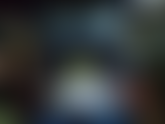 BPFRON apreende veículo carregado com agrotóxicos