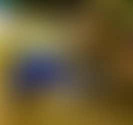 Polícia Militar recupera motocicleta roubada em Francisco Beltrão