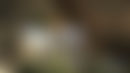 Homem encontrado morto em córrego no bairro Santa Cruz é identificado