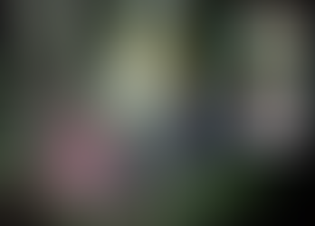 Tragédia em Planalto: Meninos de 12 anos morrem em grave acidente na PR 281