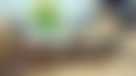 Armas de fogo e munições são apreendidas em Chopinzinho