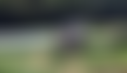 Caminhoneiro perde o controle da direção e veículo sai da pista em Coronel Vivida