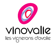 141-vinovalie-v-logo copie.png